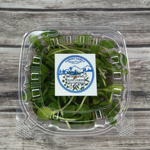 Load image into Gallery viewer, Sunflower - Black Oil - Microgreens
