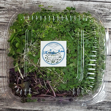 Load image into Gallery viewer, Sunny Sampler Medley