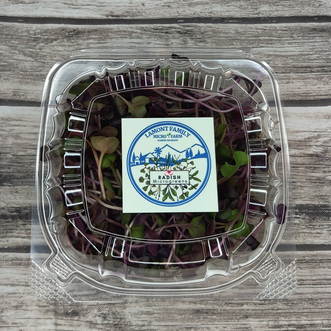 Raddish - Rambo - Microgreens