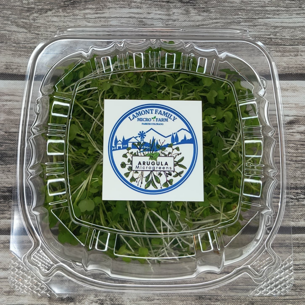 Arugula - Slow Bolt - Microgreens